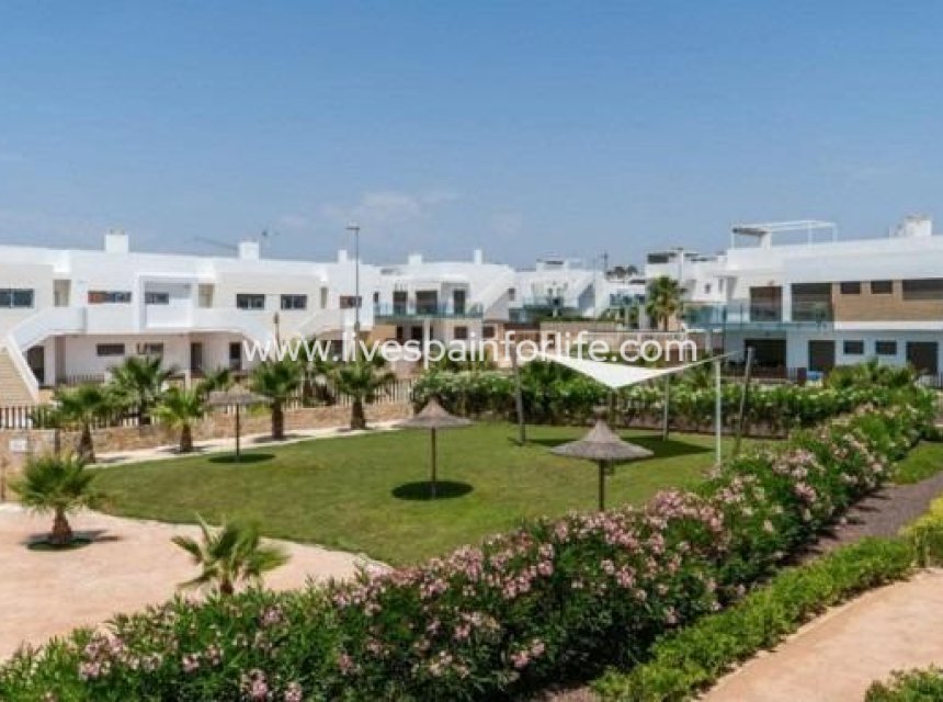 Nieuwbouw - Bungalow -
Orihuela - Vistabella Golf