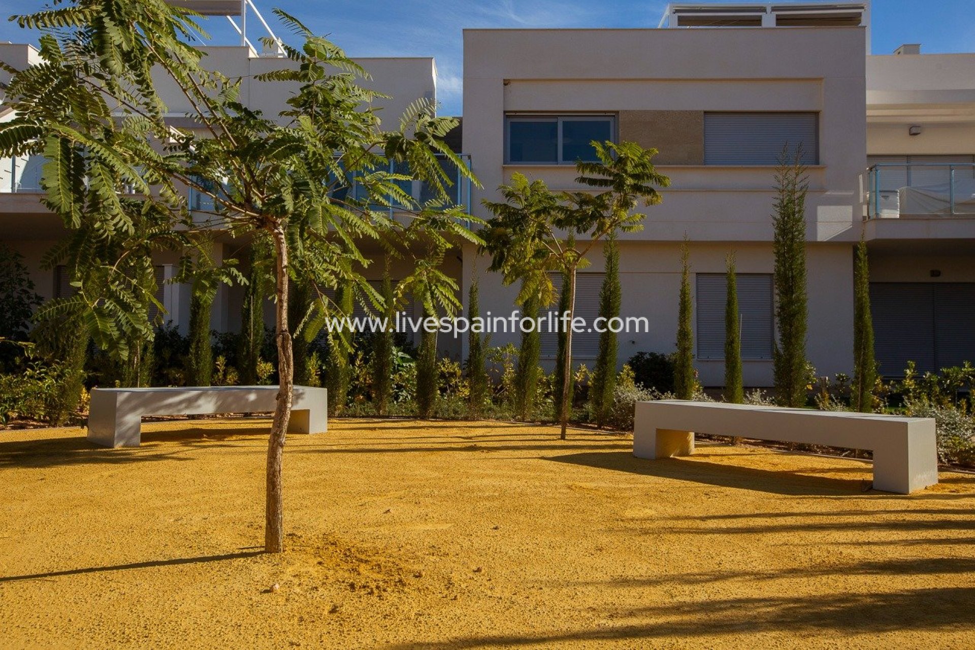 Nieuwbouw - Bungalow -
Orihuela - Vistabella Golf