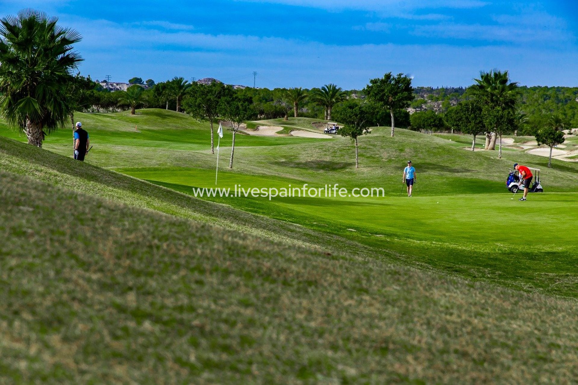 Nieuwbouw - Bungalow -
Orihuela - Vistabella Golf
