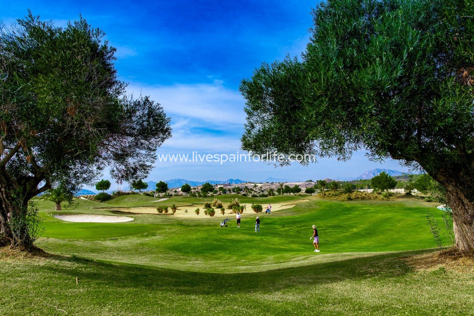 Nieuwbouw - Bungalow -
Orihuela - Vistabella Golf