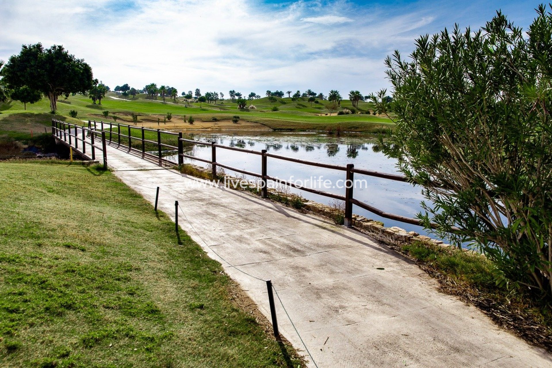 Nieuwbouw - Bungalow -
Orihuela - Vistabella Golf