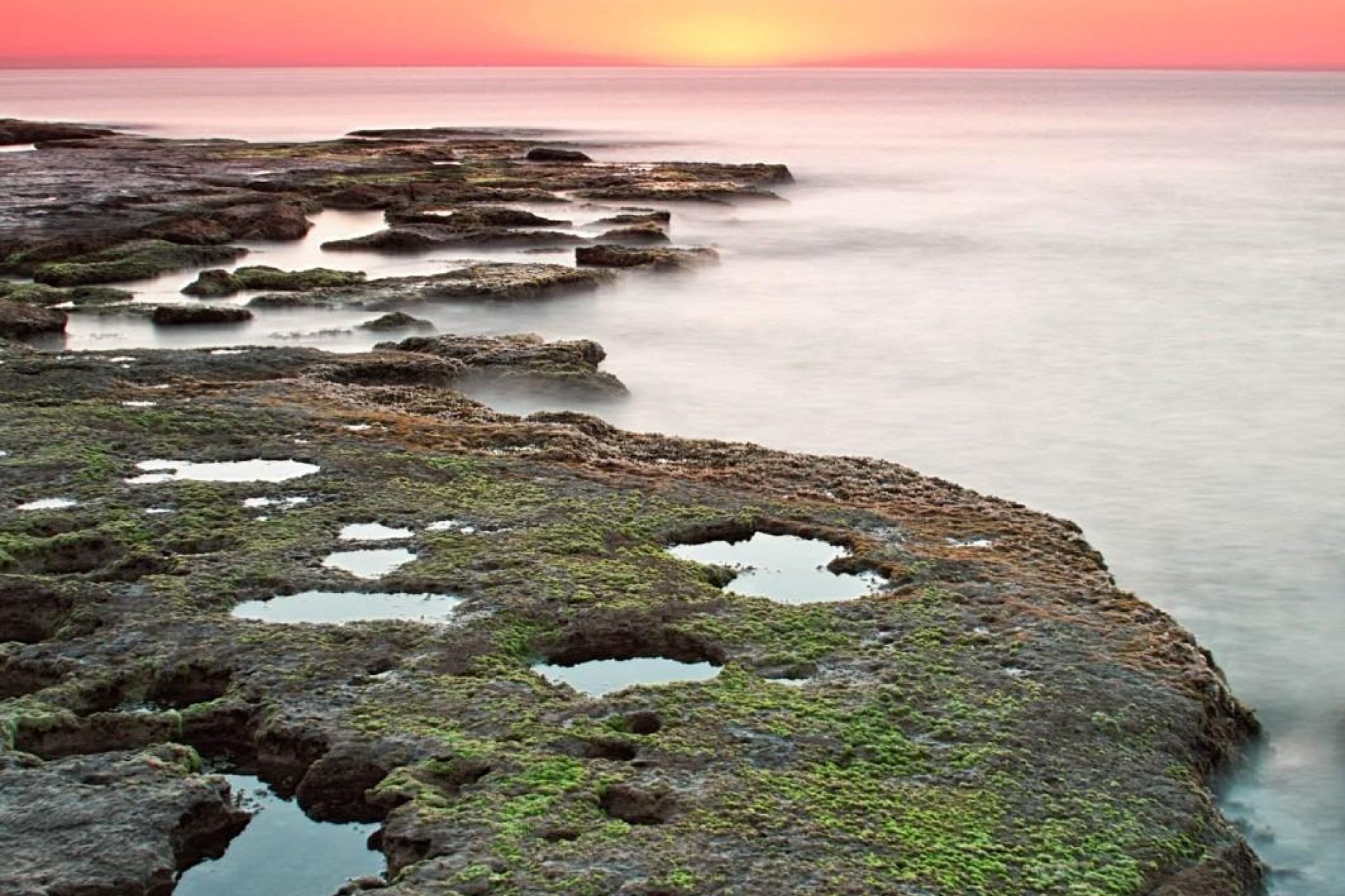 Nieuwbouw - Bungalow -
Torrevieja - Altos del Sol