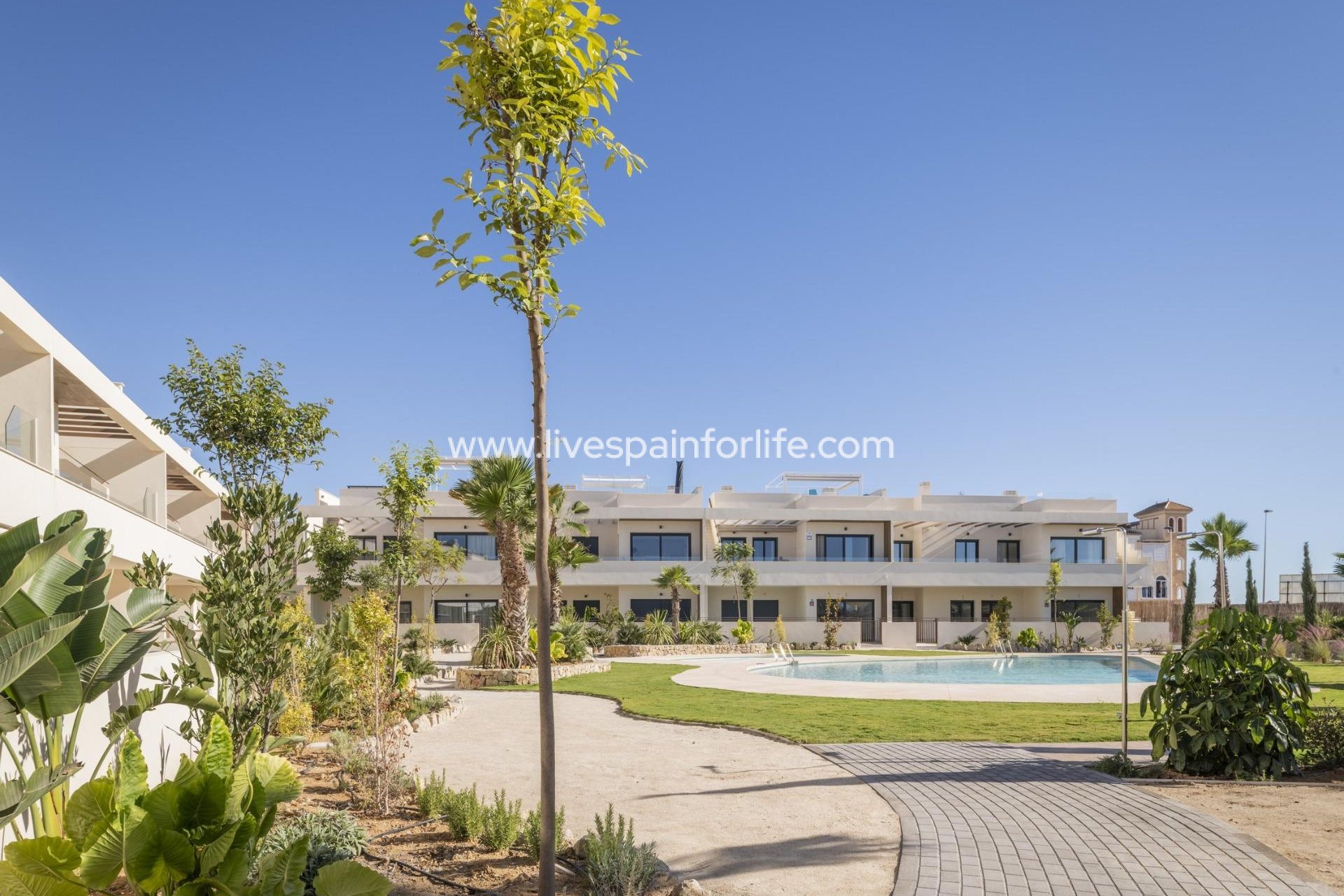 Nieuwbouw - Bungalow -
Torrevieja - Villa Amalia