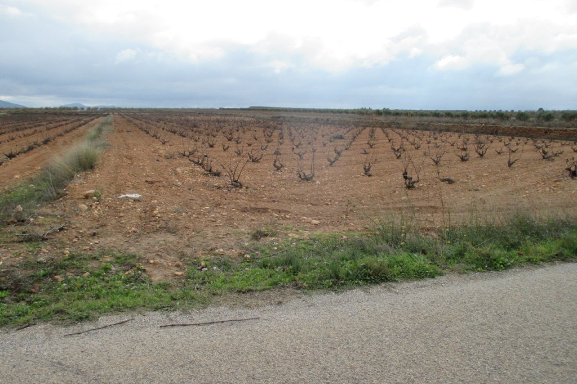 Nieuwbouw - Een stuk grond -
Pinoso