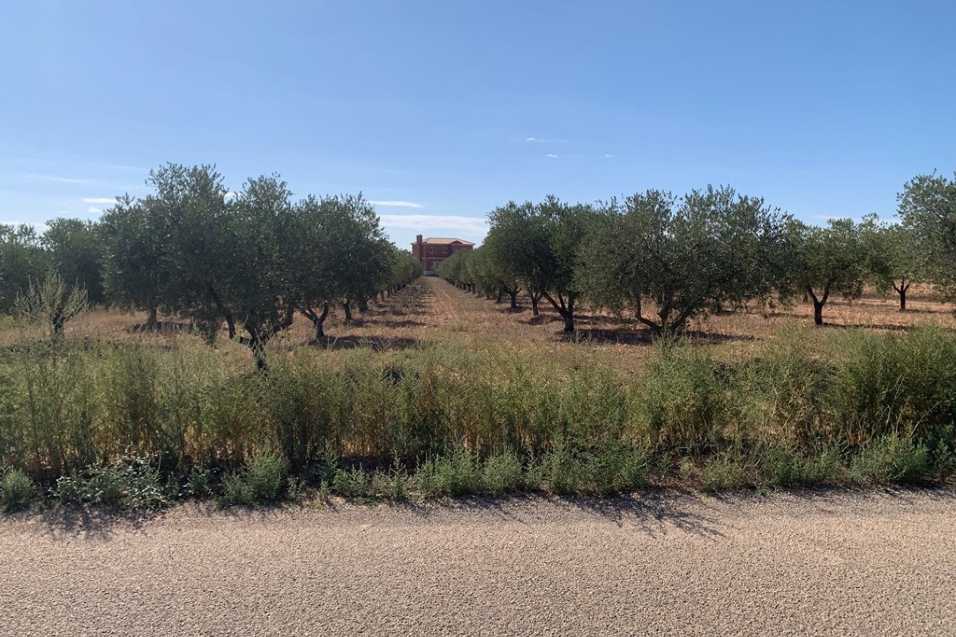 Nieuwbouw - Plattelandswoning -
Alicante