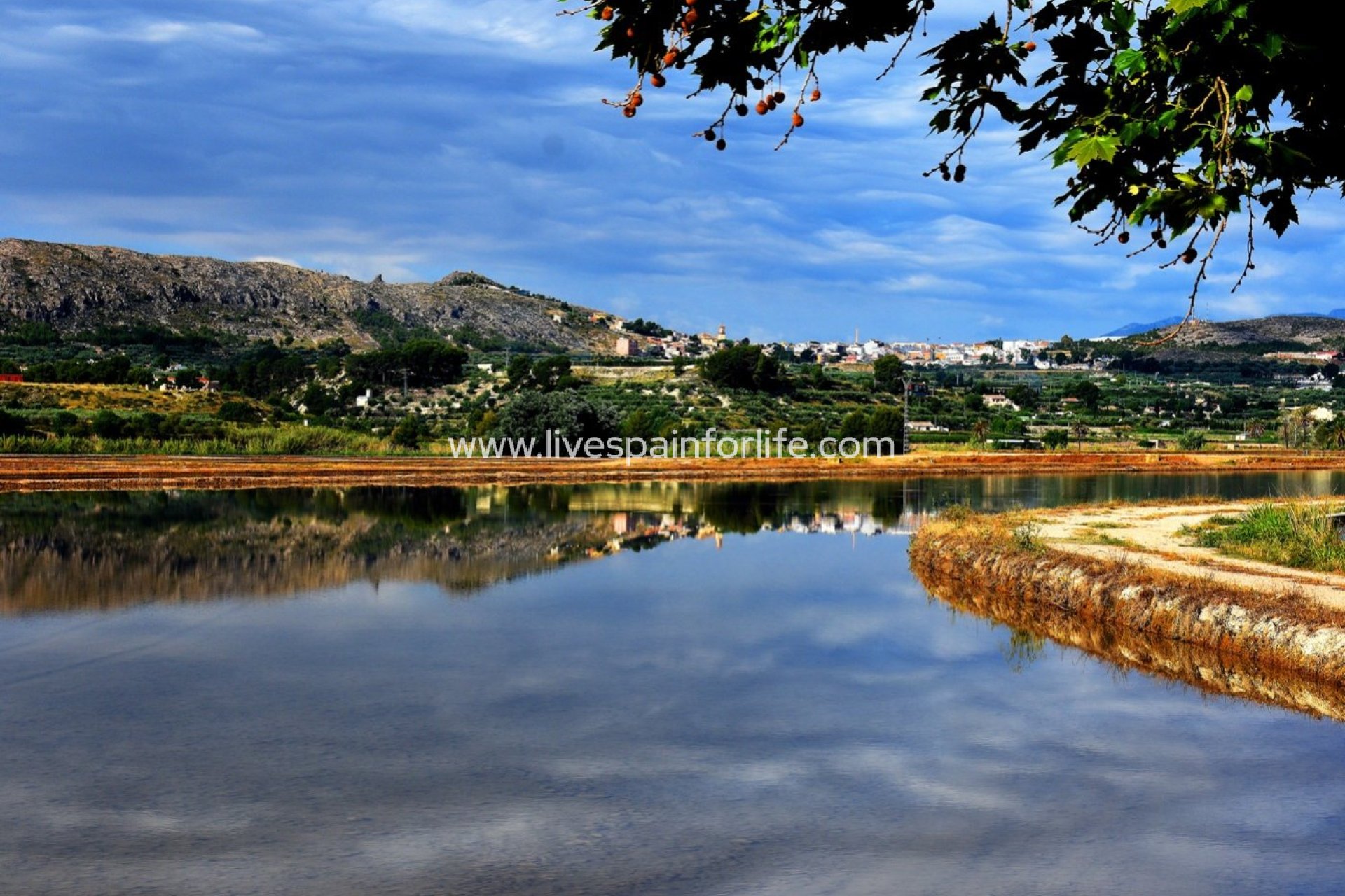 Nieuwbouw - Villa (alleenstaand) -
Calasparra - Coto Riñales