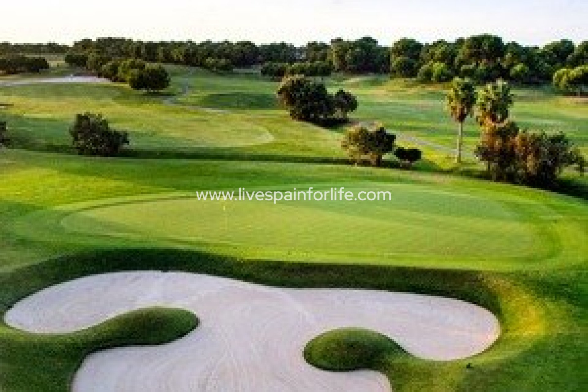 Nieuwbouw - Villa (alleenstaand) -
Pilar de la Horadada - Lo Romero Golf