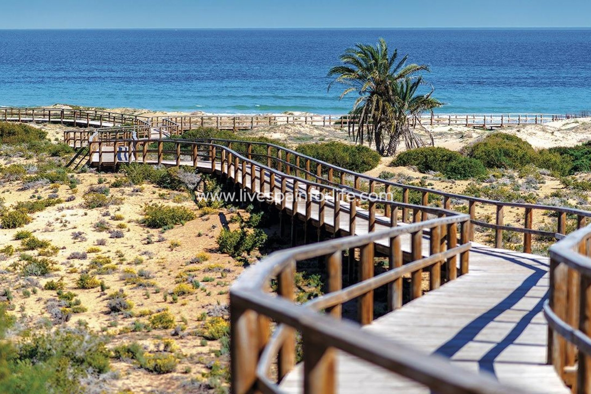 Nouvelle construction - Apartments -
Alicante