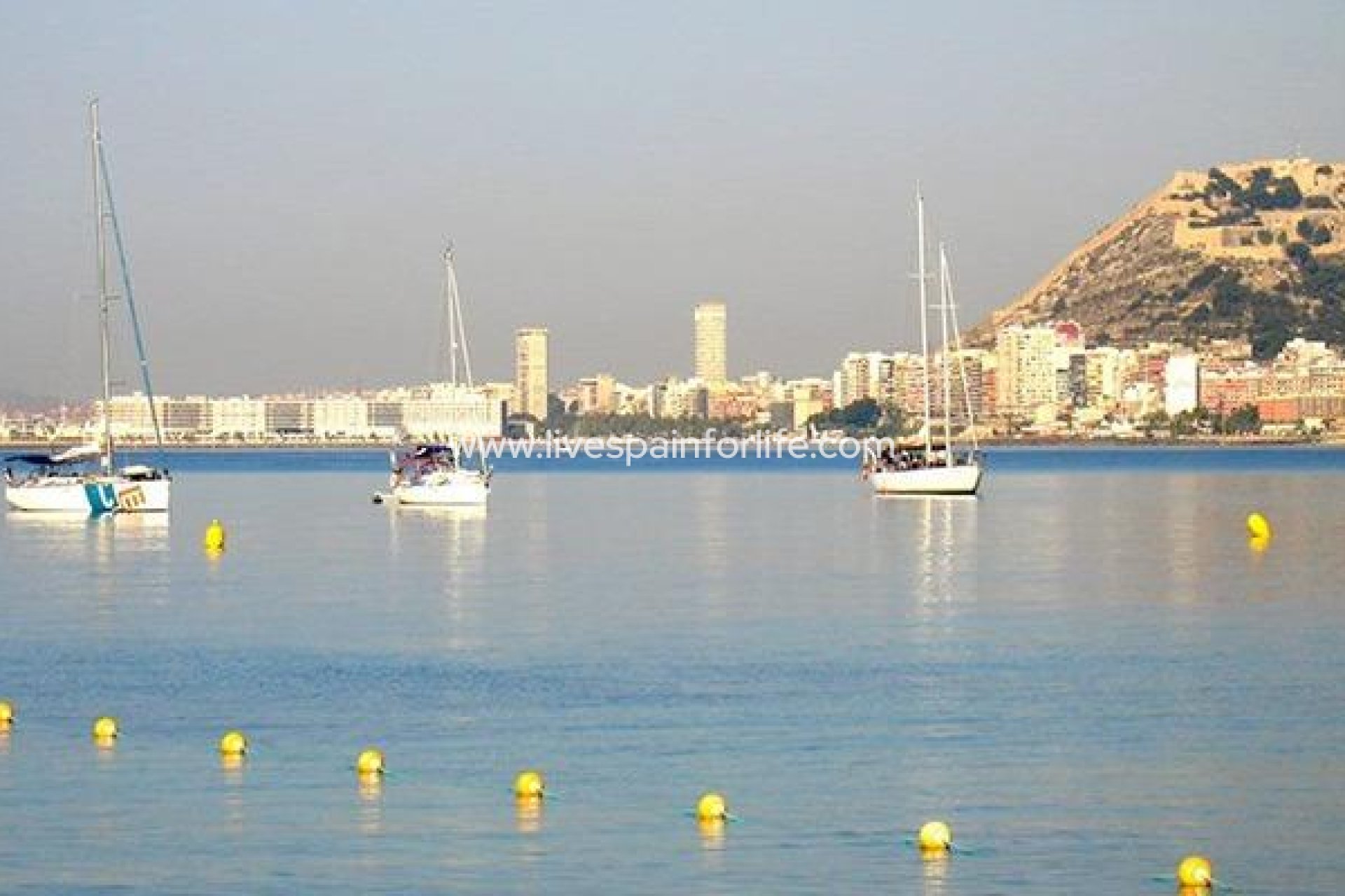 Nouvelle construction - Apartments -
El Verger