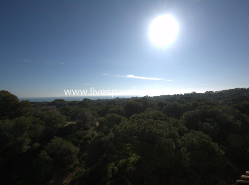 Nouvelle construction - Apartments -
Guardamar del Segura - Pueblo