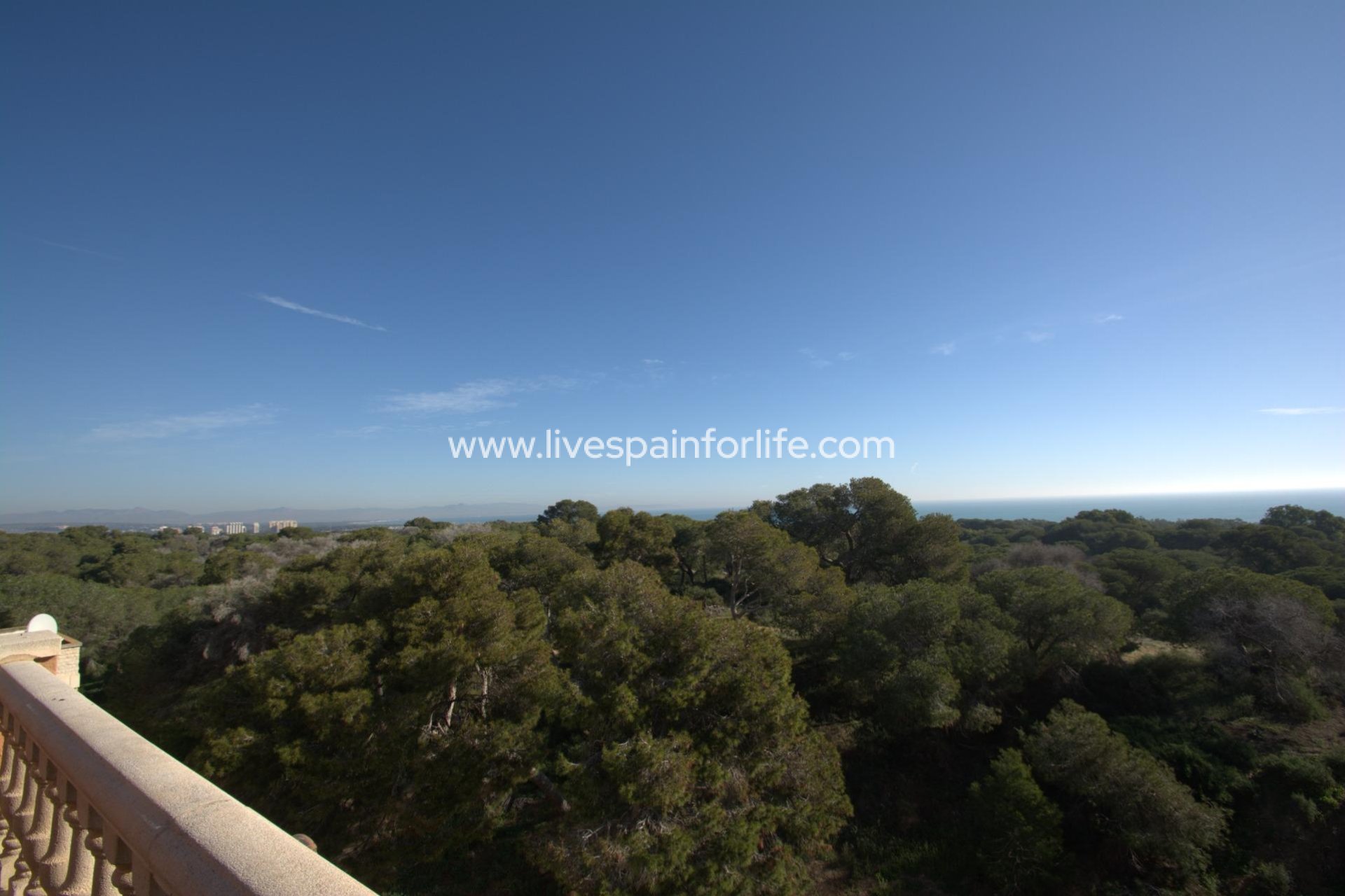 Nouvelle construction - Apartments -
Guardamar del Segura - Pueblo