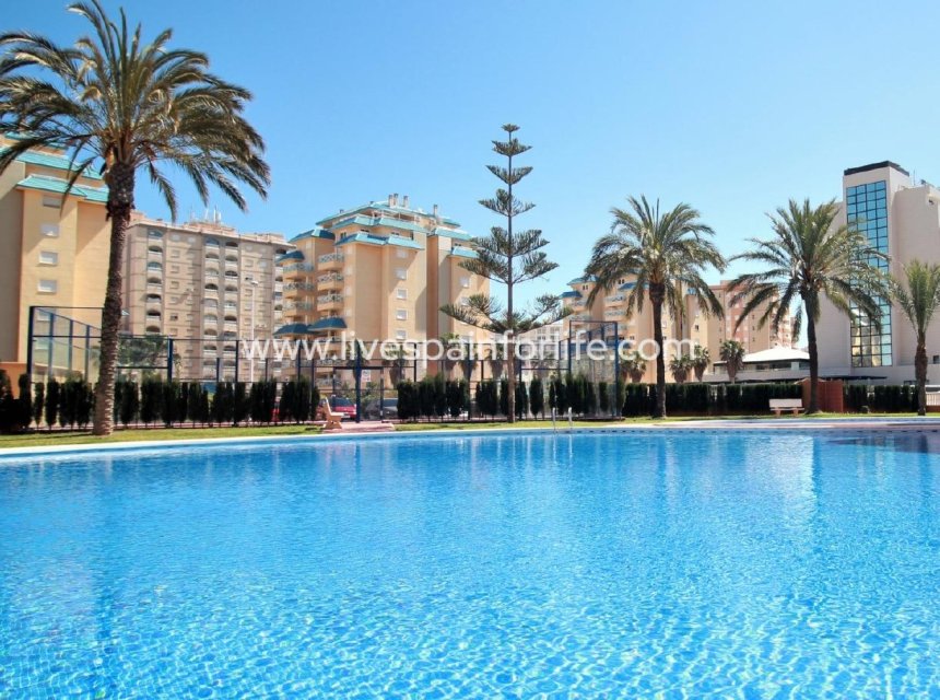 Nouvelle construction - Apartments -
La Manga del Mar Menor - La Manga