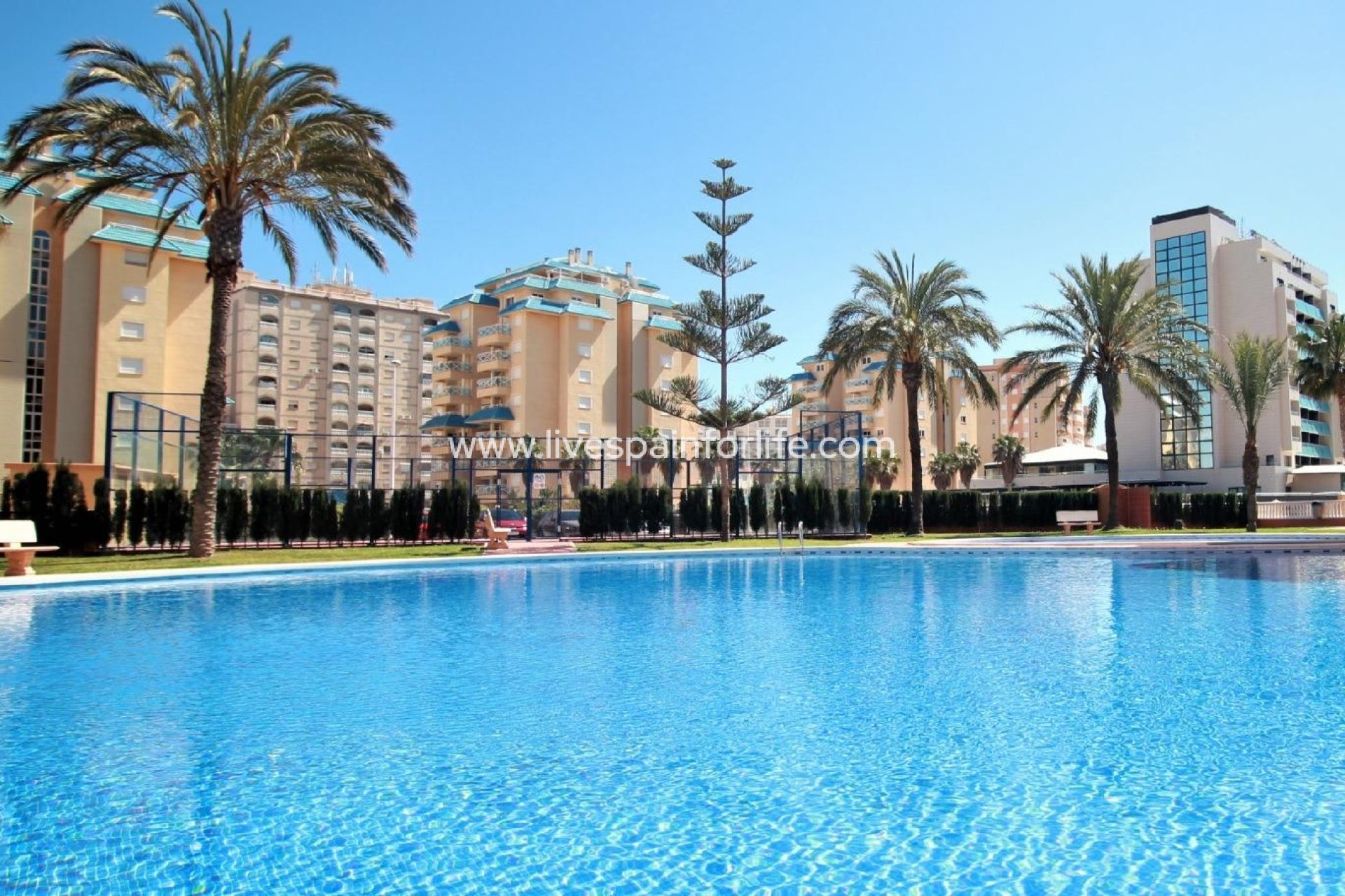 Nouvelle construction - Apartments -
La Manga del Mar Menor - La Manga