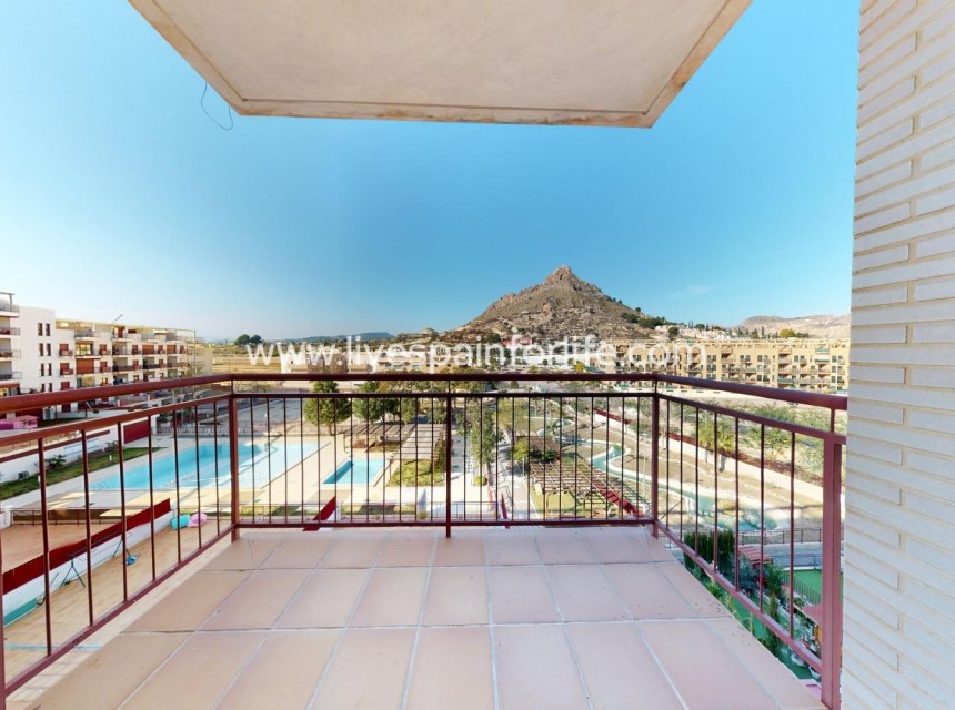 Nouvelle construction - Apartments -
Murcia