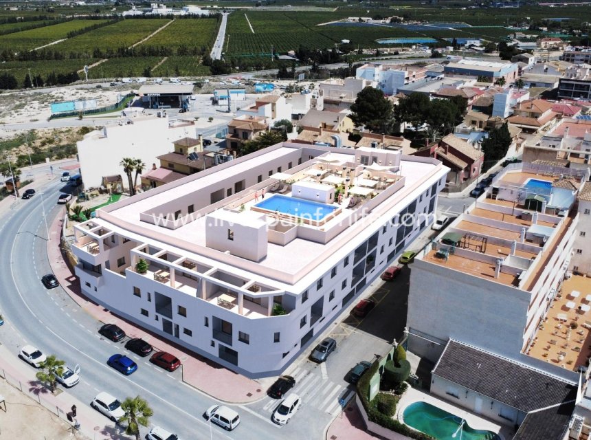 Nouvelle construction - Apartments -
San Miguel De Salinas - Pueblo