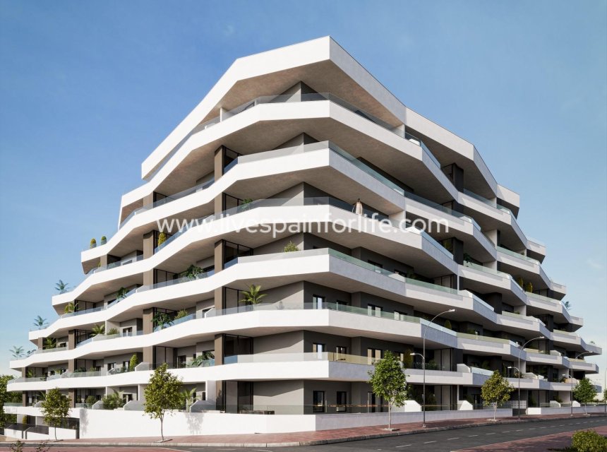 Nouvelle construction - Apartments -
San Miguel De Salinas - Pueblo