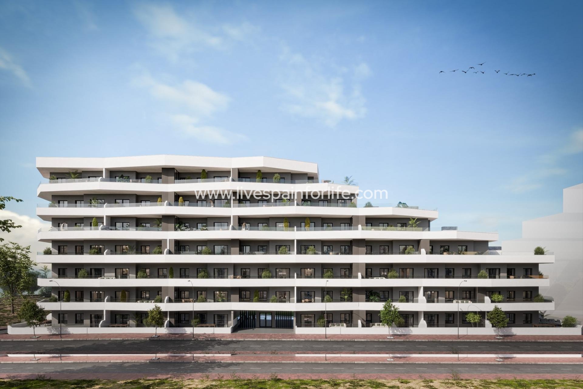 Nouvelle construction - Apartments -
San Miguel De Salinas - Pueblo