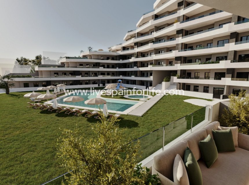 Nouvelle construction - Apartments -
San Miguel De Salinas - Pueblo