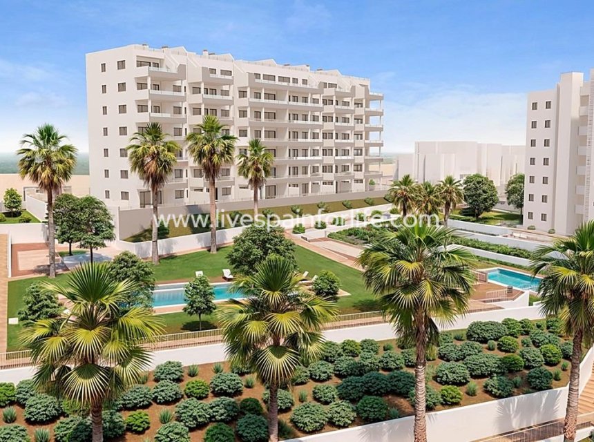 Nouvelle construction - Apartments -
San Miguel De Salinas - Pueblo