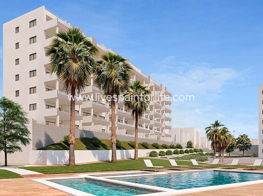 Nouvelle construction - Apartments -
San Miguel De Salinas - Pueblo