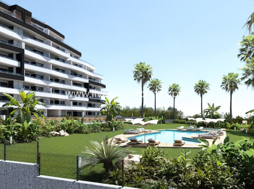 Nouvelle construction - Apartments -
San Miguel De Salinas - Pueblo