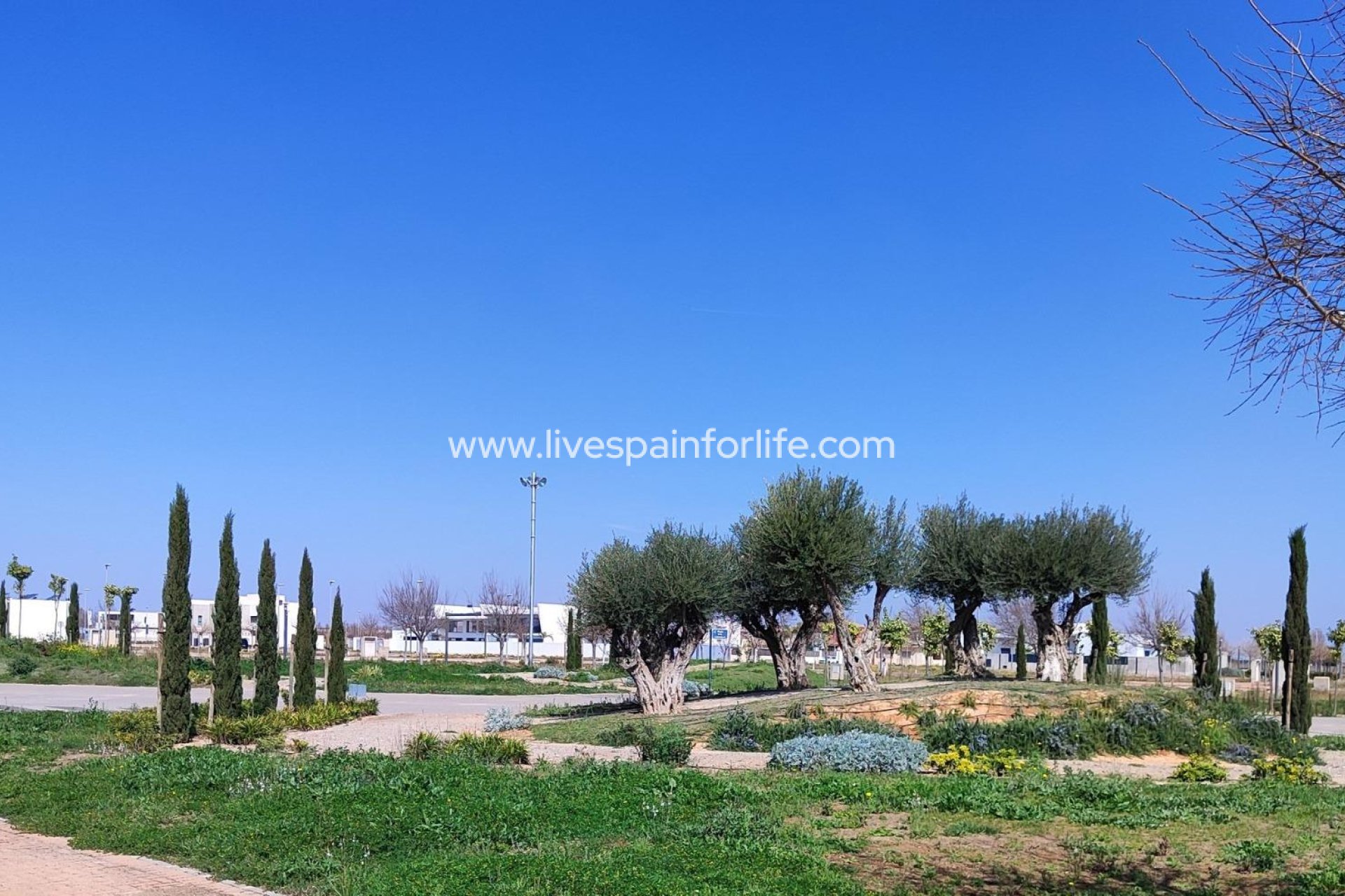 Nouvelle construction - Apartments -
Torre Pacheco - Centro