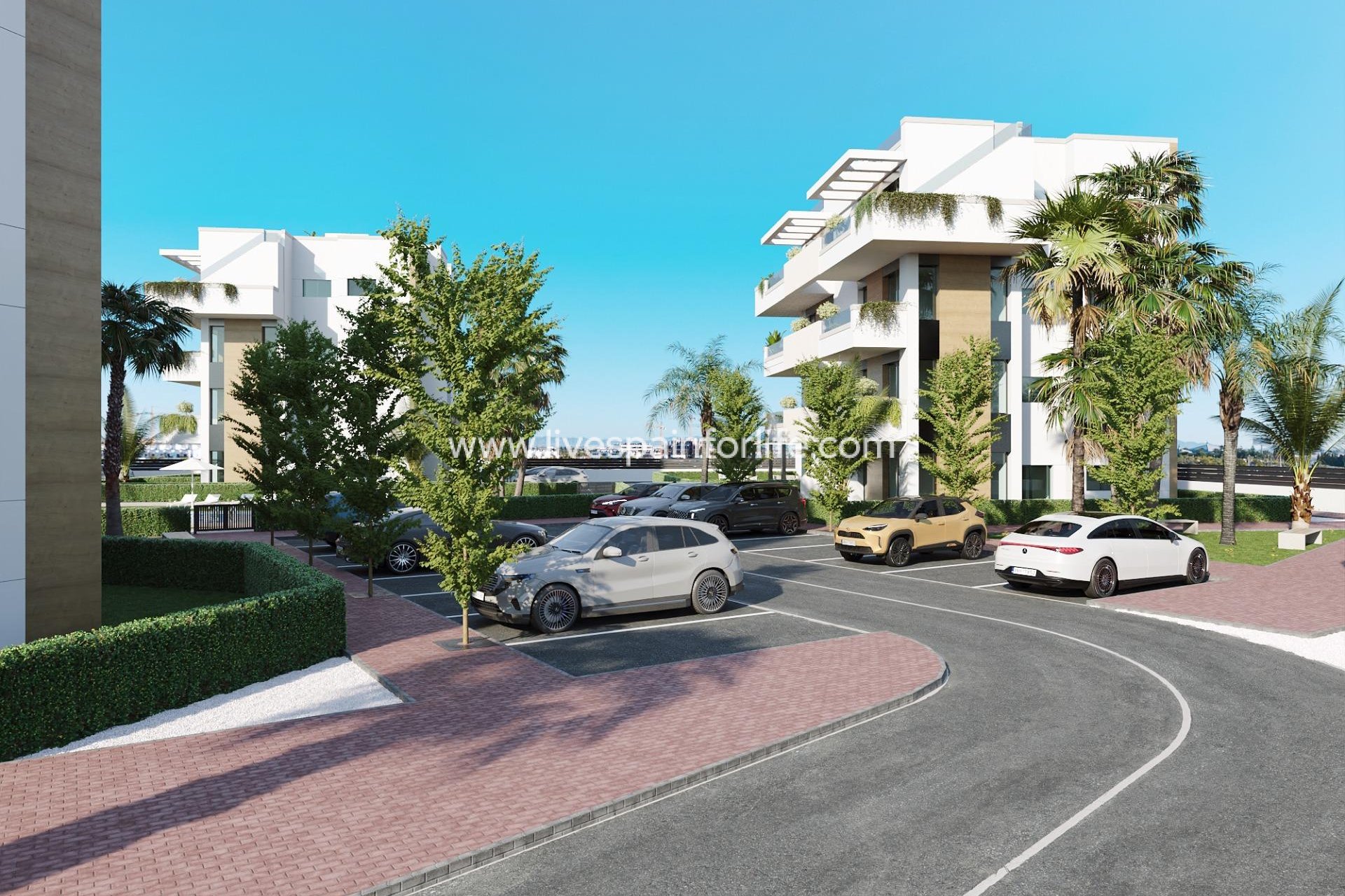 Nouvelle construction - Apartments -
Torre Pacheco - Santa Rosalía