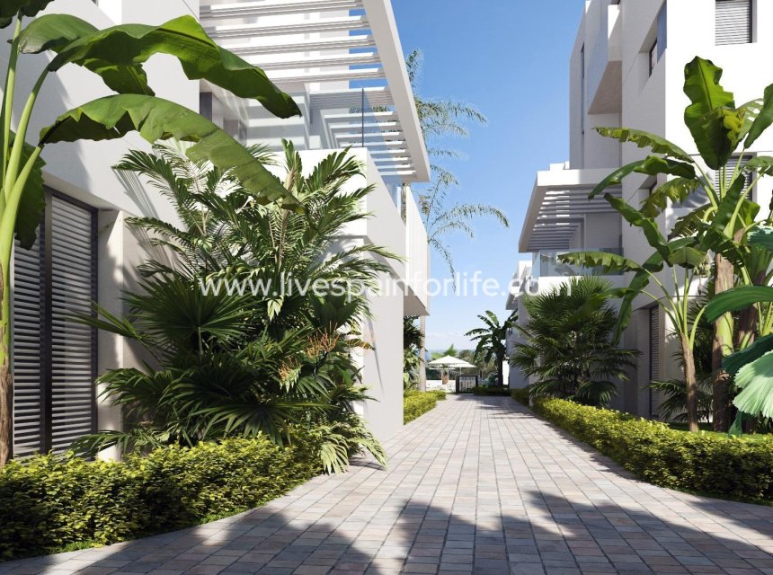 Nouvelle construction - Apartments -
Torre Pacheco - Santa Rosalía