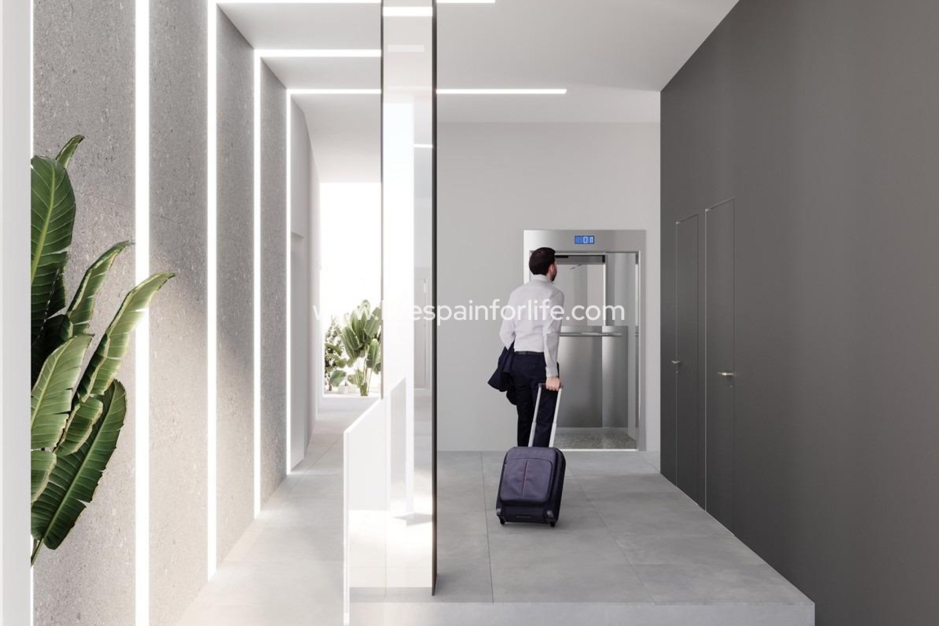 Nouvelle construction - Apartments -
Torrevieja - Centro