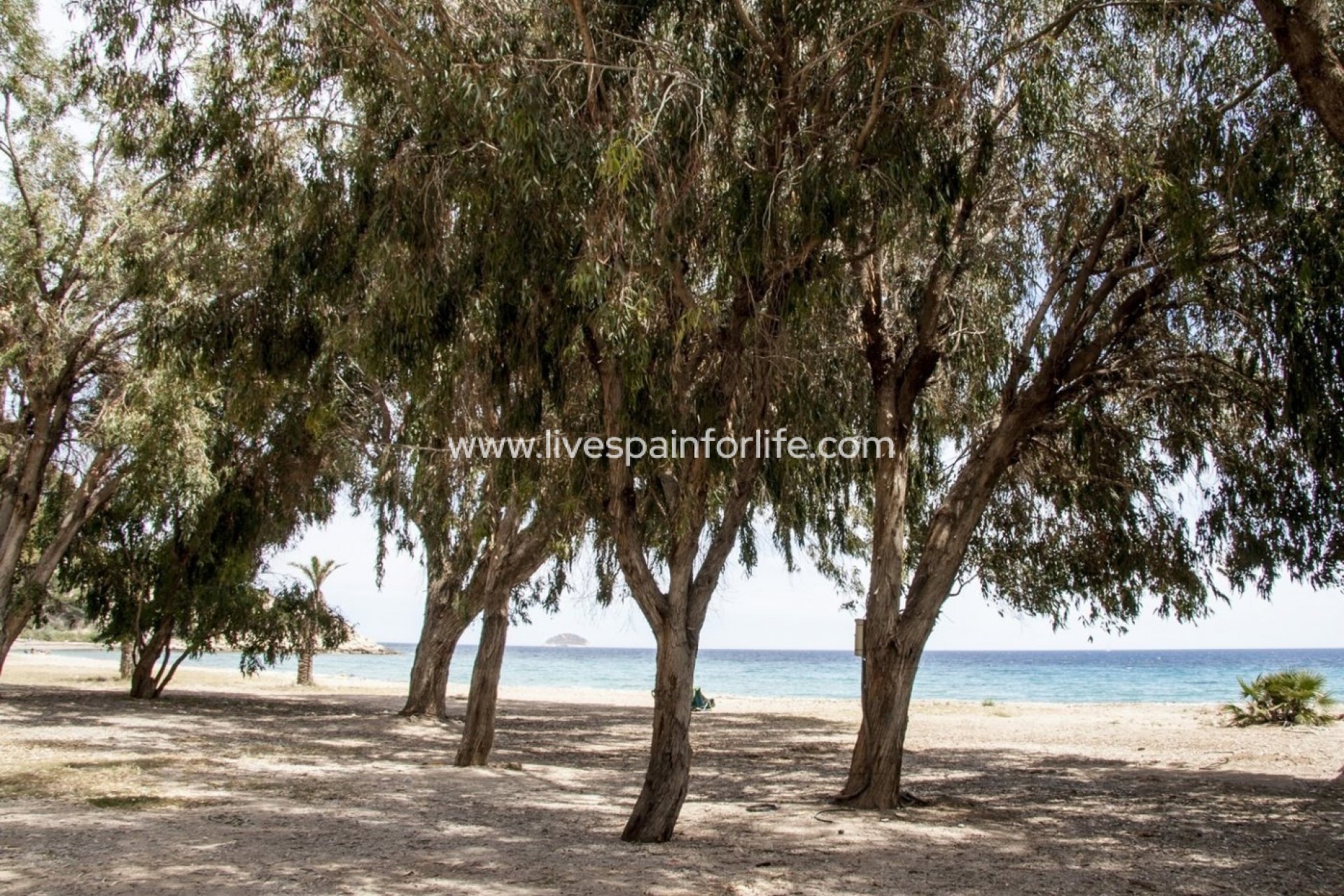 Nouvelle construction - Apartments -
Villajoyosa - Playa Les Torres