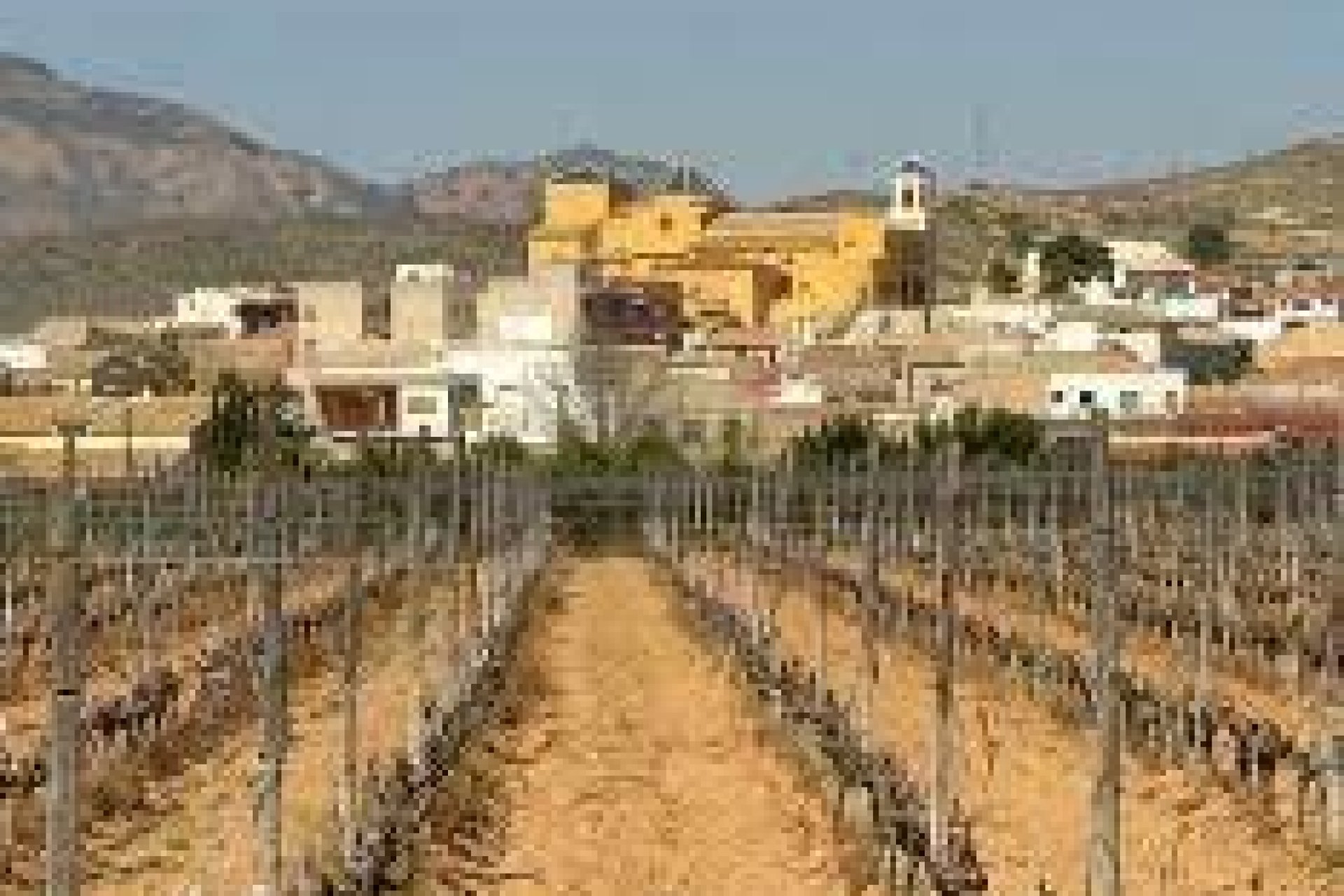 Nouvelle construction - Bungalow -
Hondon De Las Nieves - El Salero