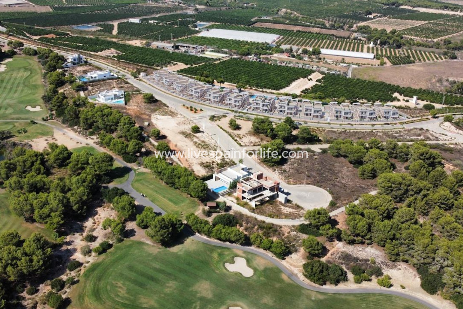 Nouvelle construction - Bungalow -
Pilar de la Horadada - Lo Romero Golf