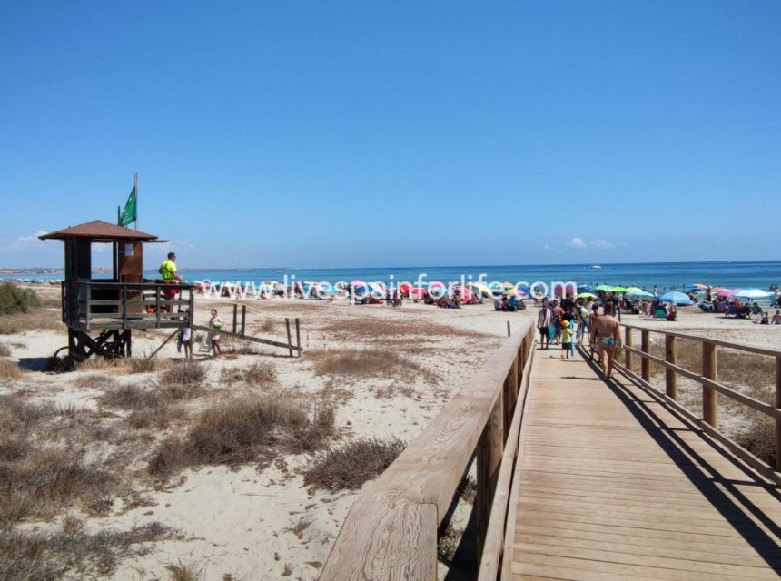 Nouvelle construction - Bungalow -
San Pedro del Pinatar