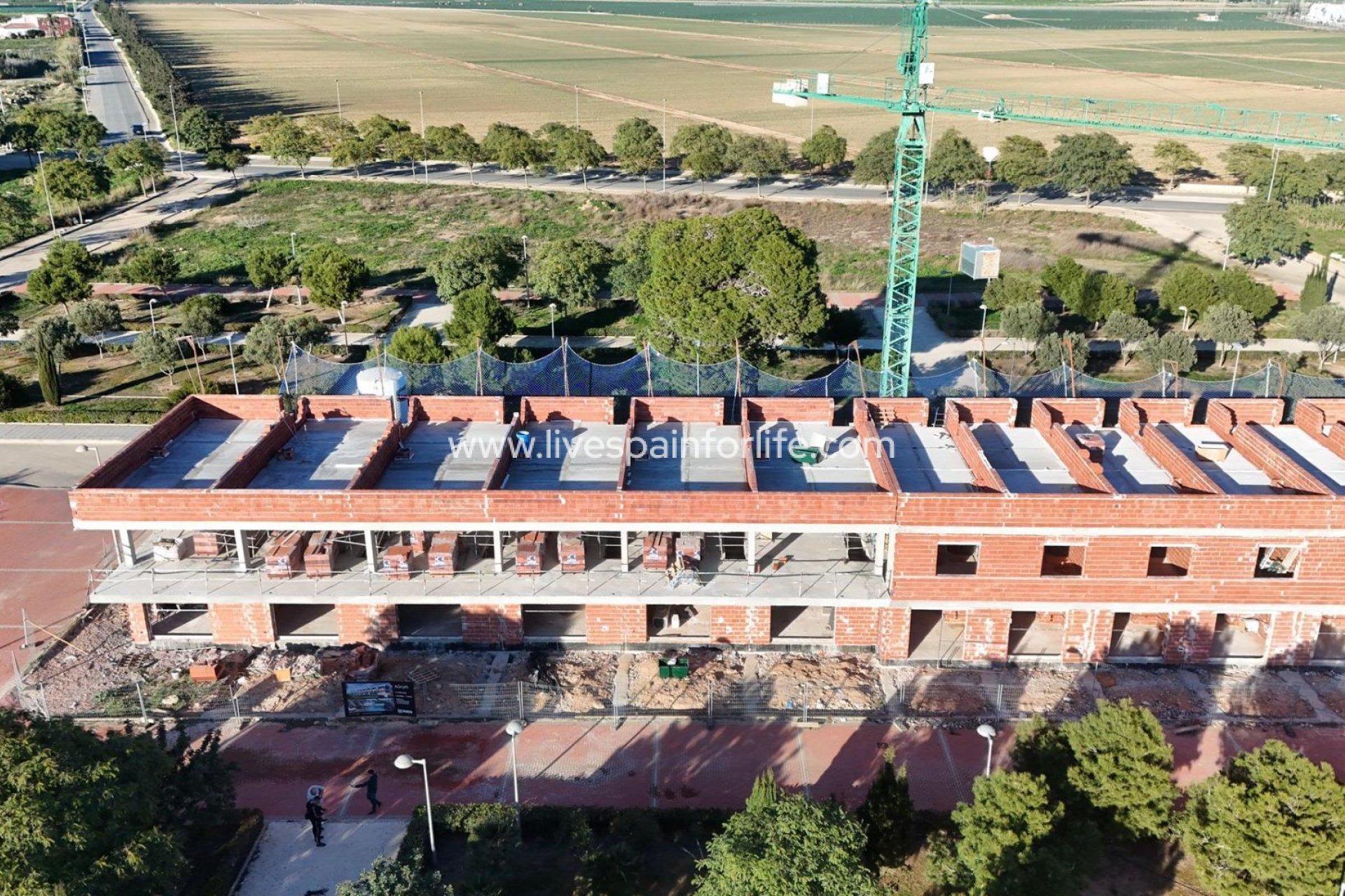 Nouvelle construction - Maison de ville -
Pilar de la Horadada - Pueblo