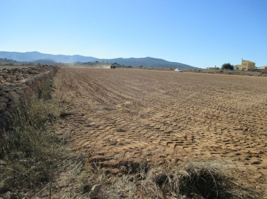 Nouvelle construction - Plot of Land -
Pinoso