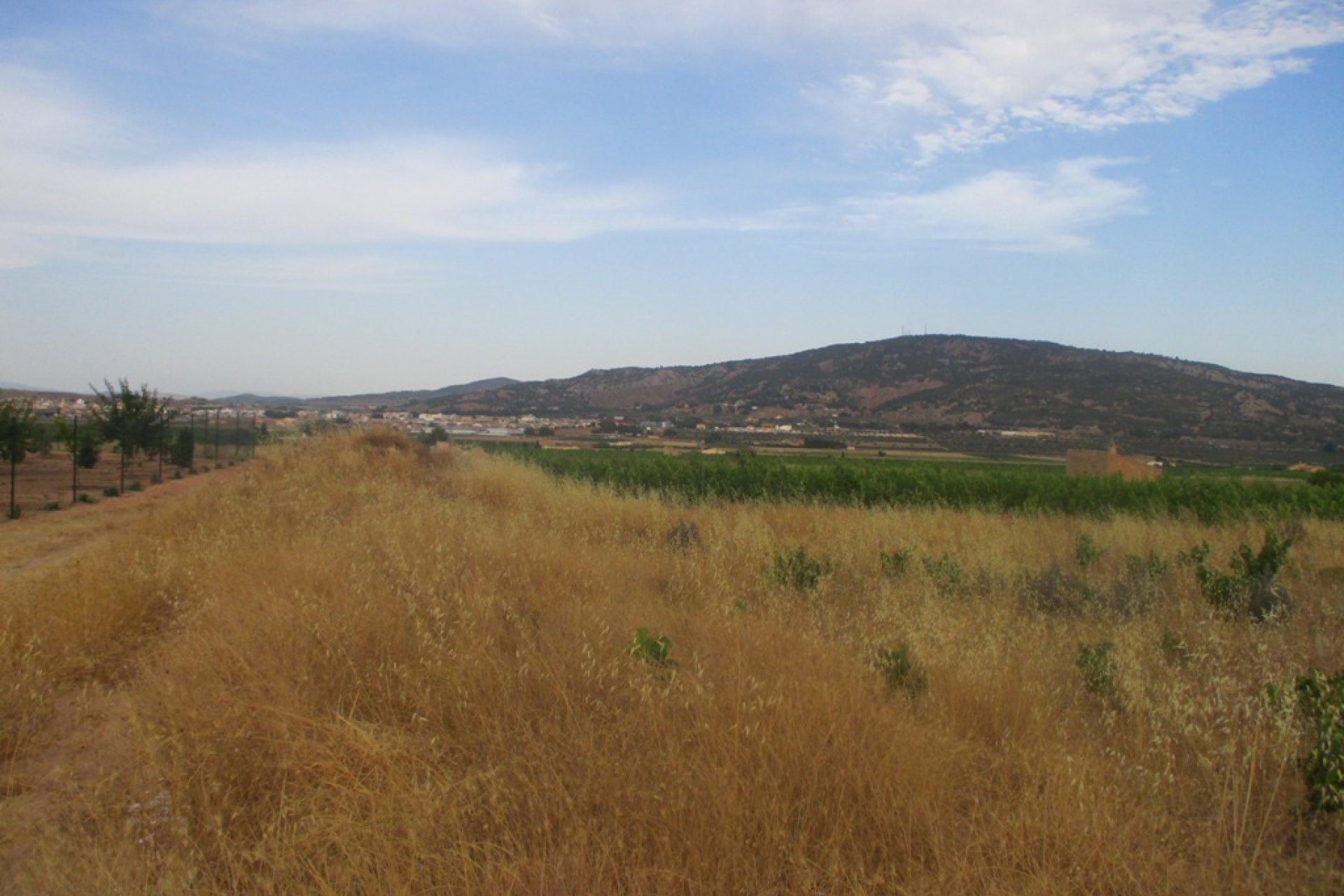 Nouvelle construction - Plot of Land -
Pinoso