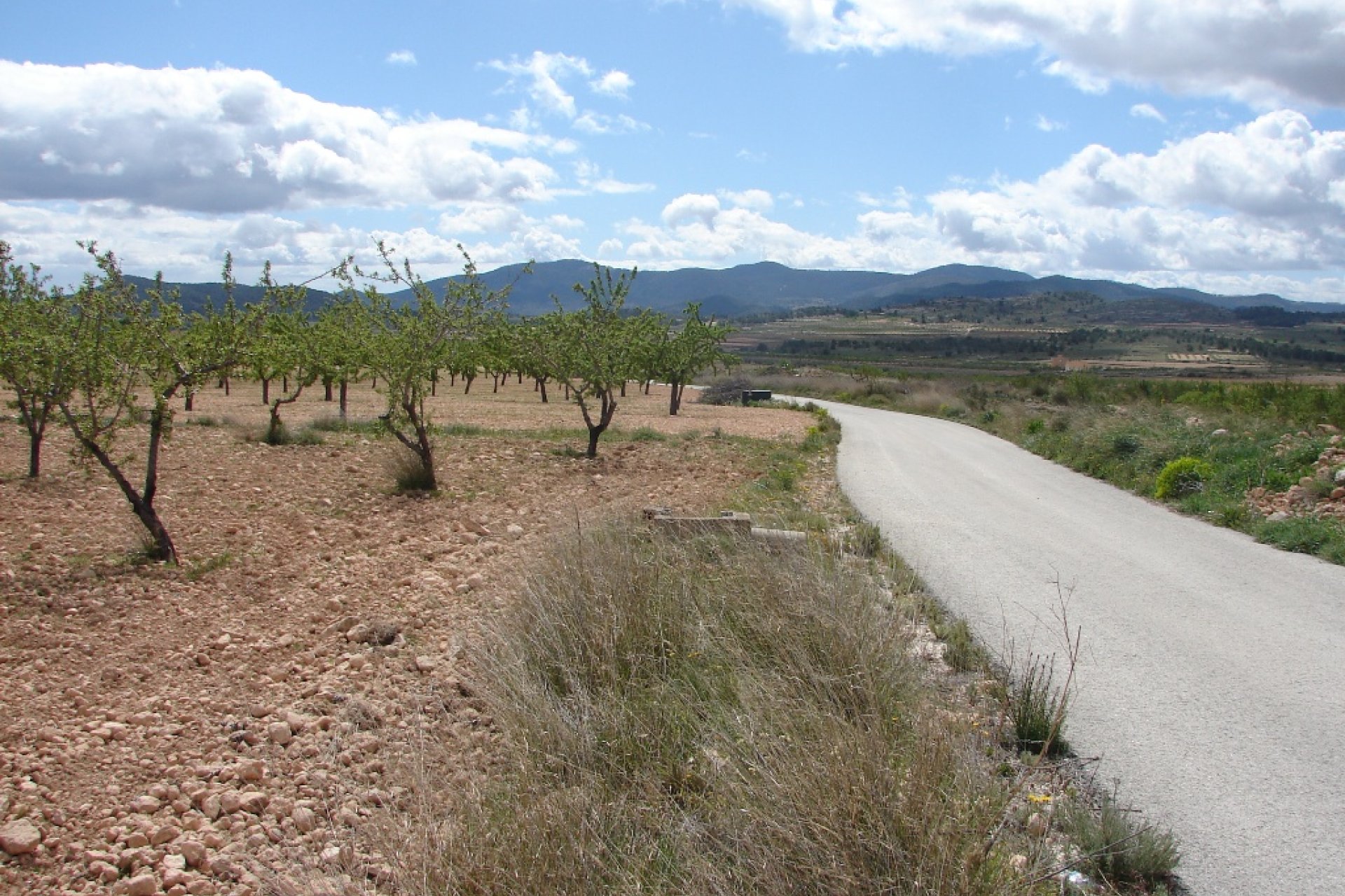 Nouvelle construction - Plot of Land -
Pinoso