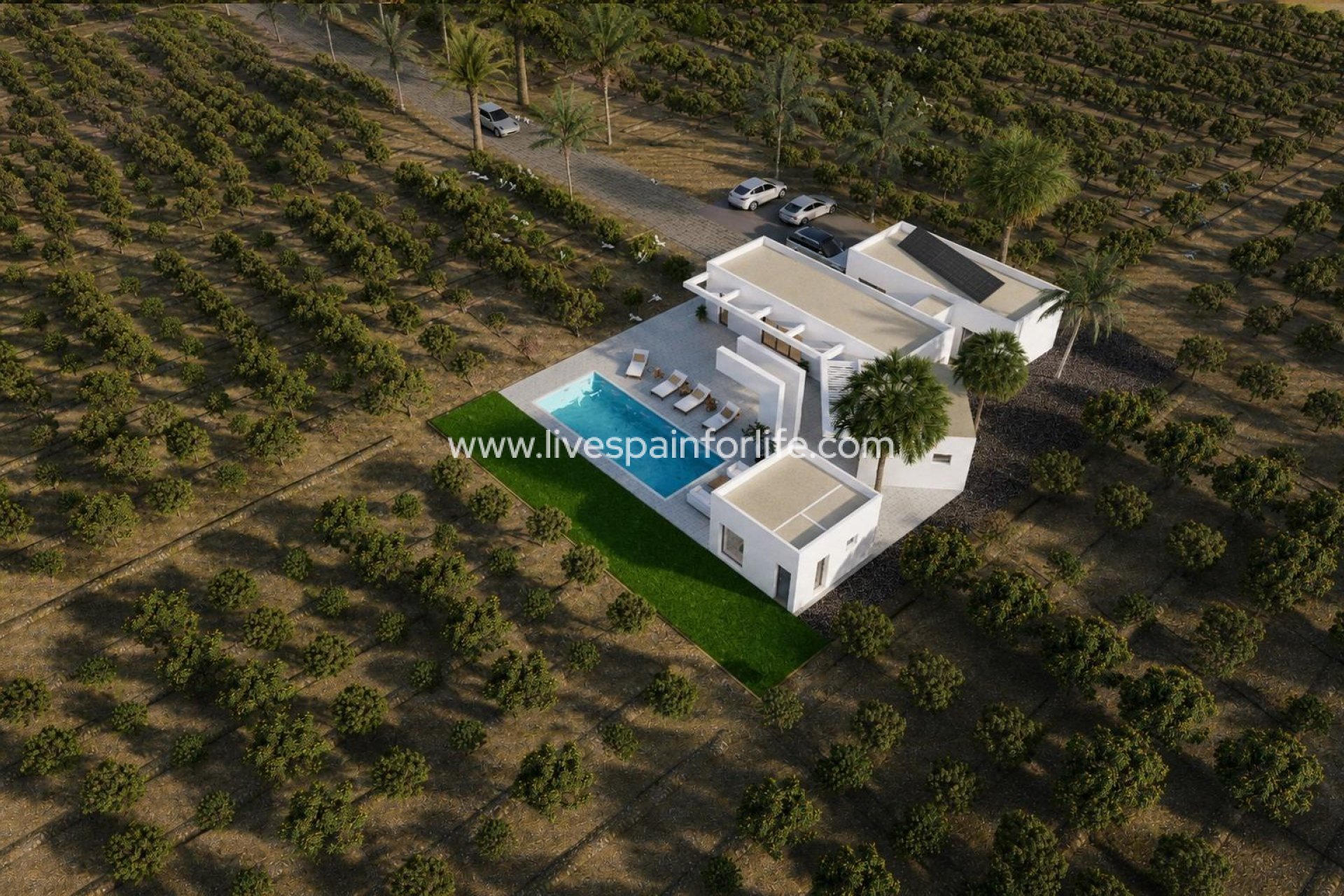 Nouvelle construction - Villa (indépendant) -
Benejuzar - alta
