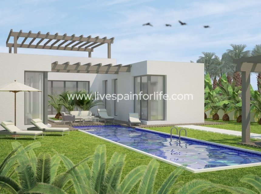 Nouvelle construction - Villa (indépendant) -
Benijofar - polideportivo