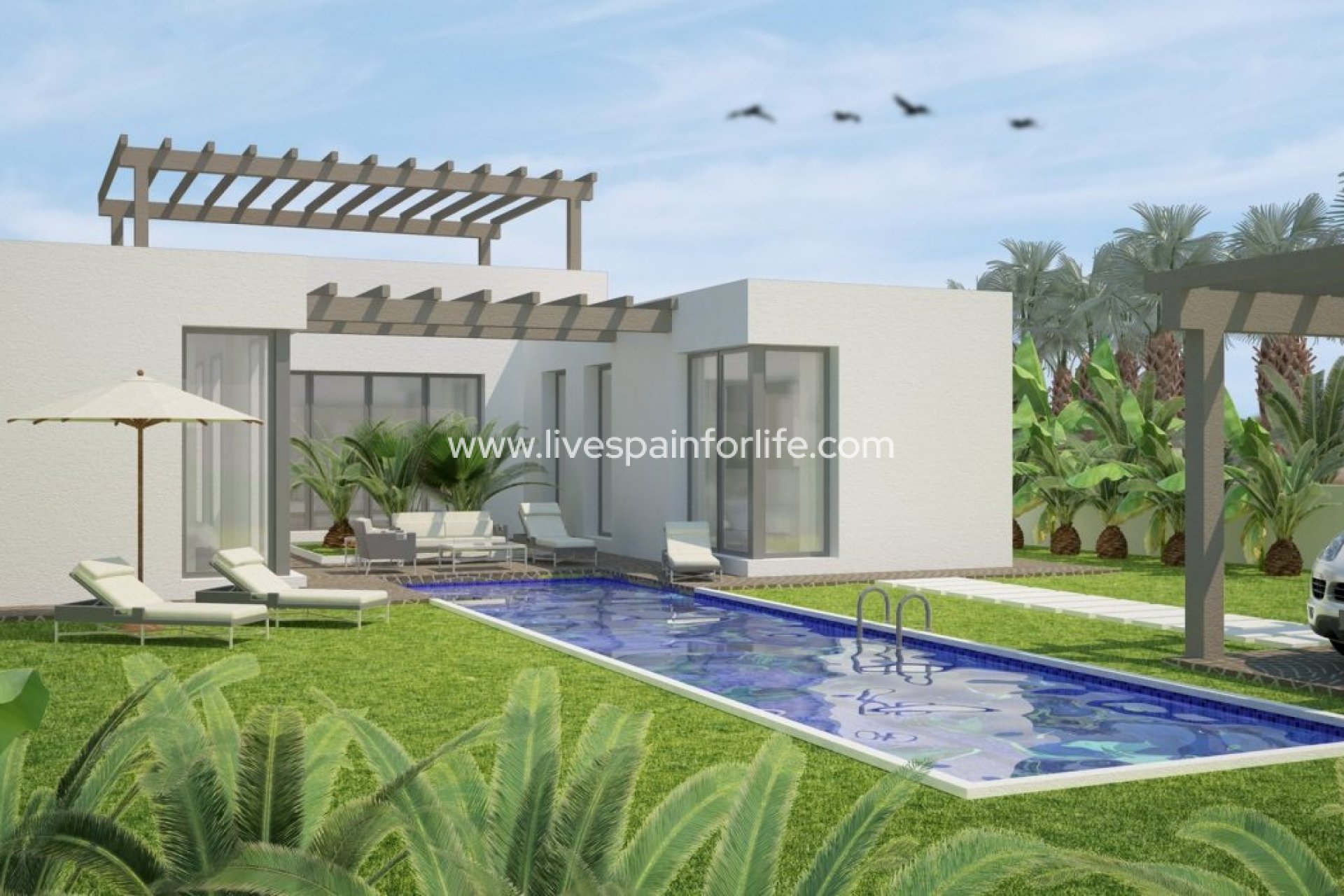 Nouvelle construction - Villa (indépendant) -
Benijofar - polideportivo