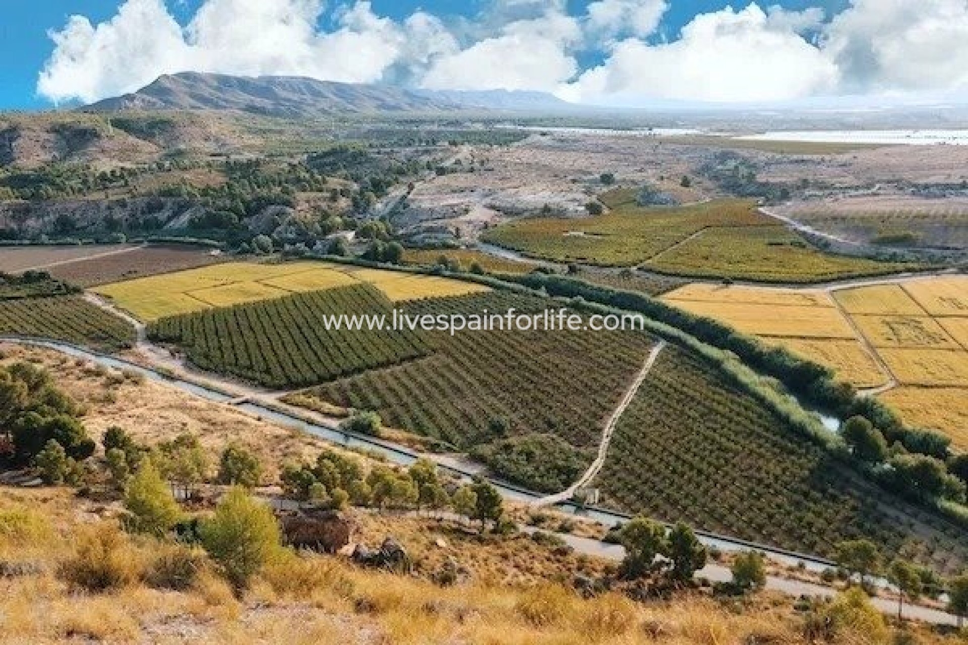 Nouvelle construction - Villa (indépendant) -
Calasparra - Coto Riñales