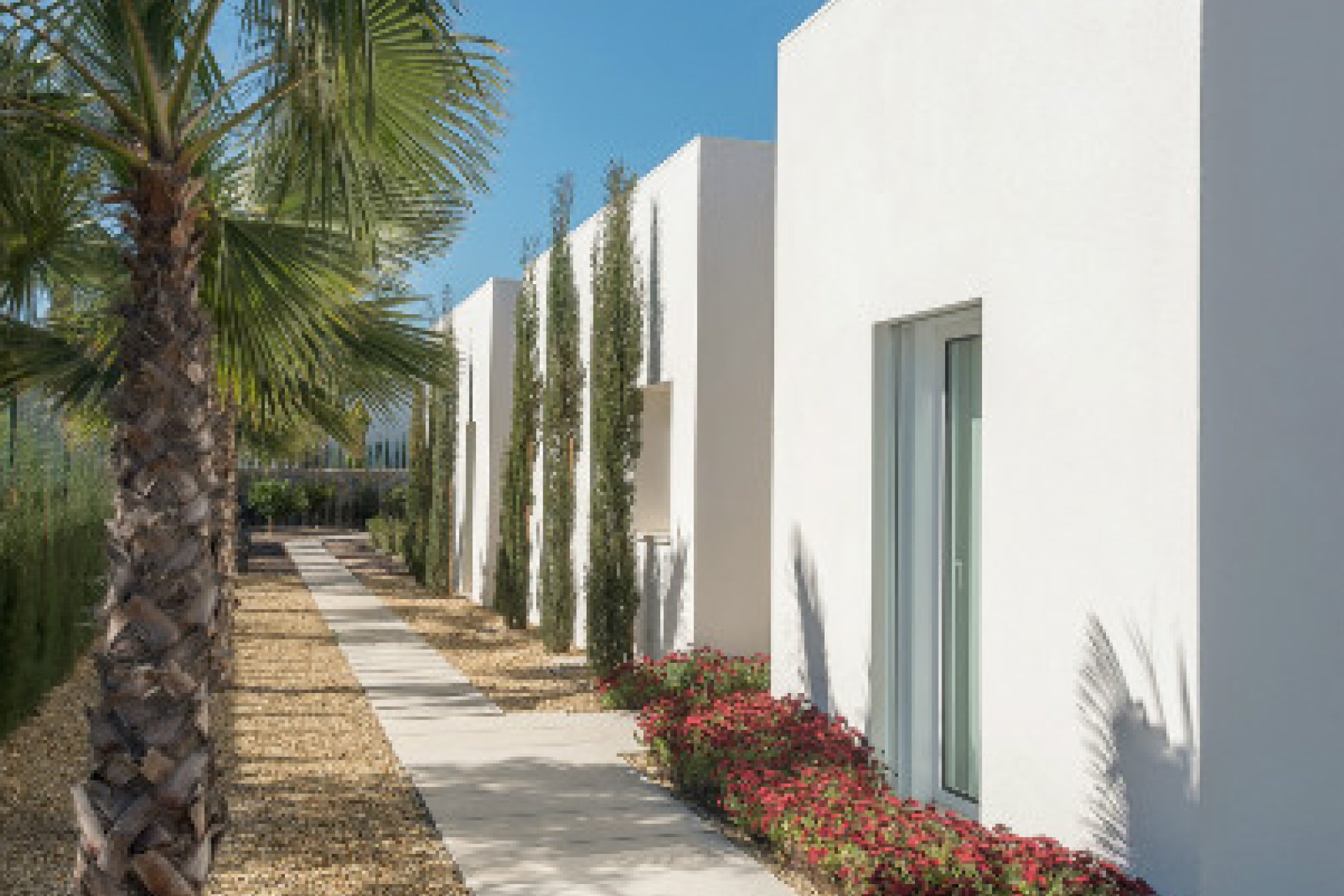 Nouvelle construction - Villa (indépendant) -
Campoamor