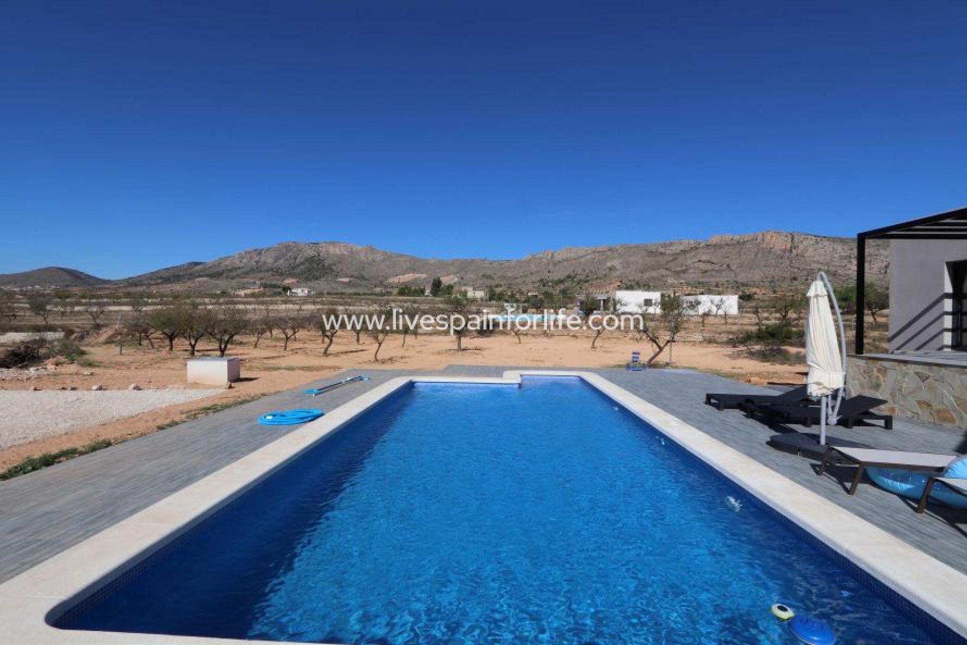 Nouvelle construction - Villa (indépendant) -
Elche