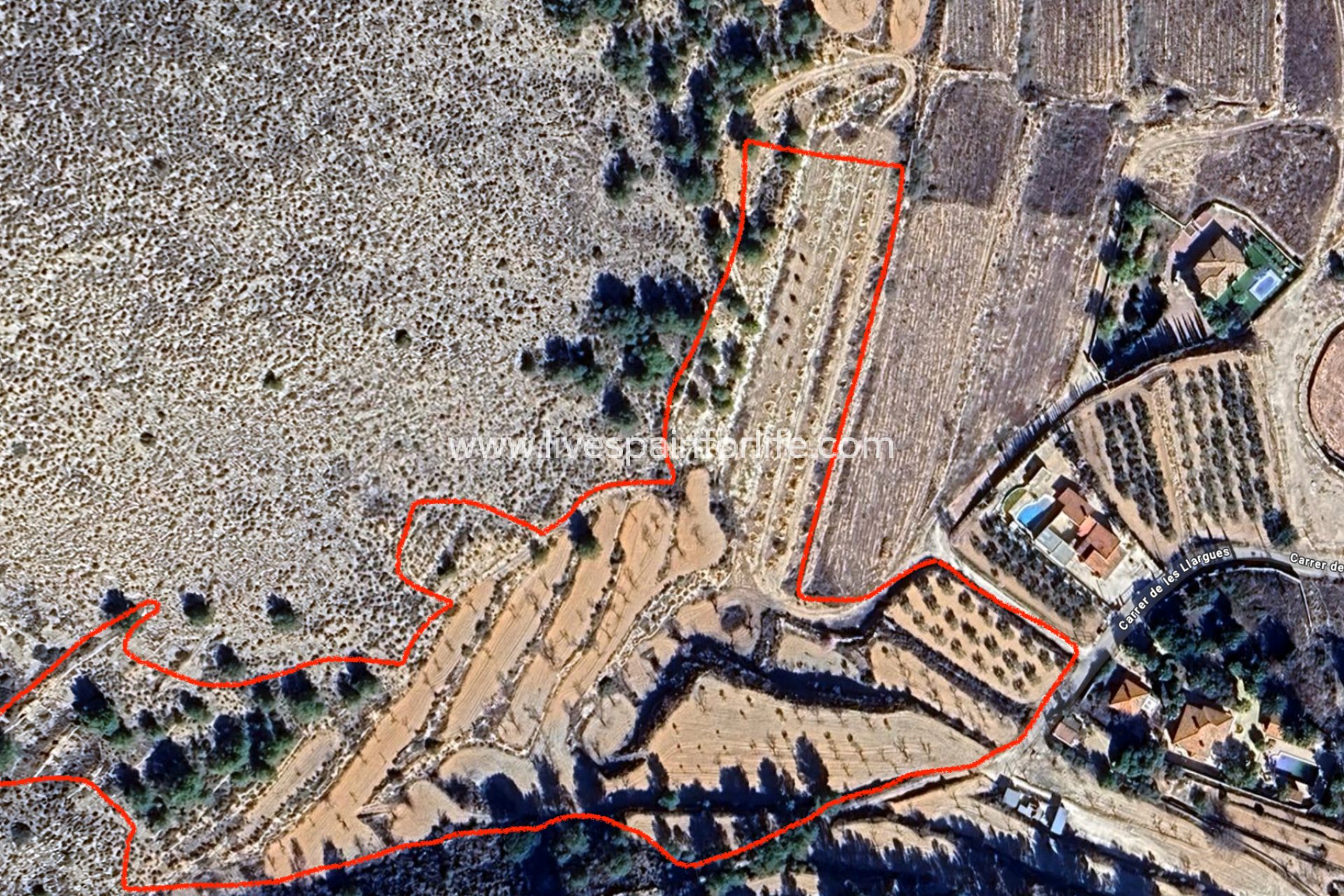 Nouvelle construction - Villa (indépendant) -
La Romana