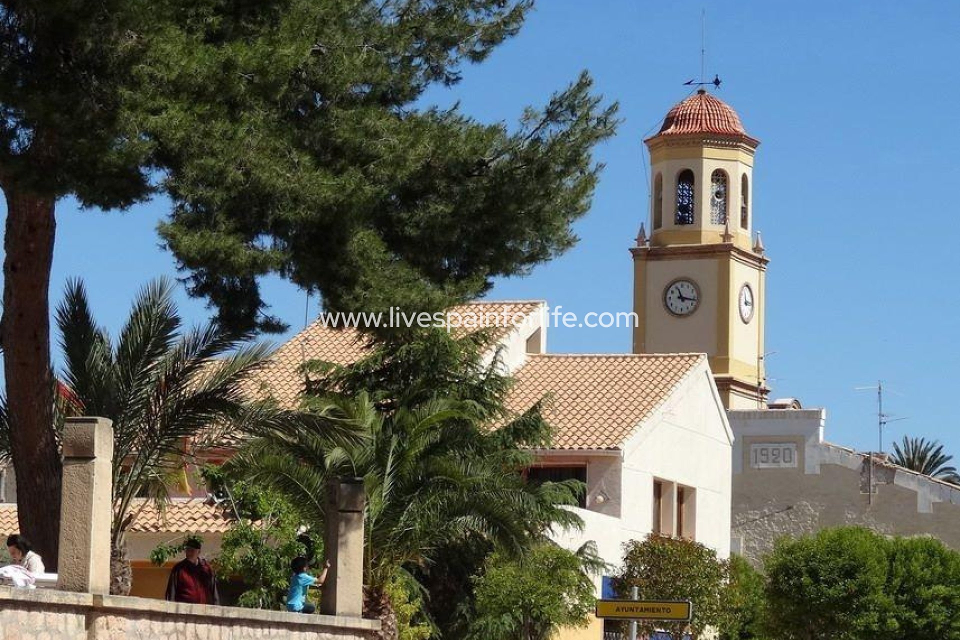 Nouvelle construction - Villa (indépendant) -
La Romana