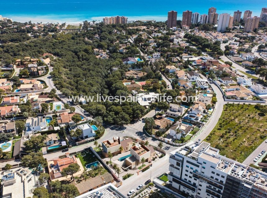 Nouvelle construction - Villa (indépendant) -
Orihuela Costa - Dehesa de Campoamor