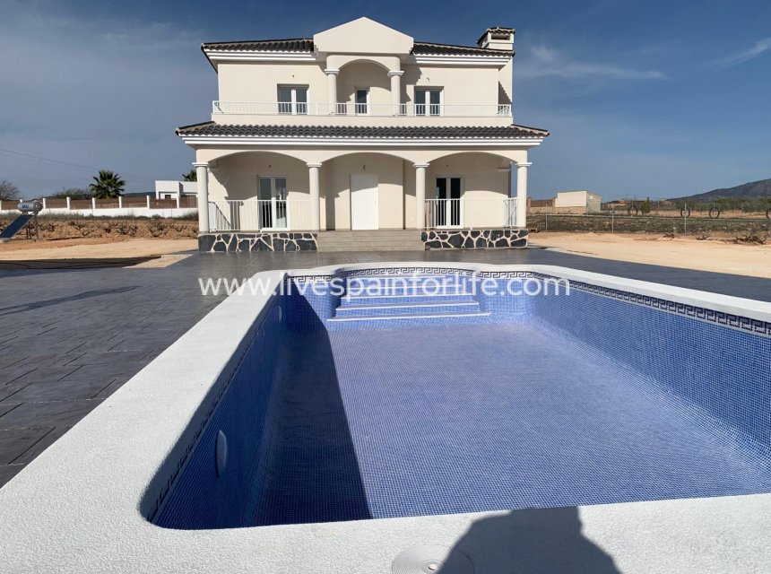 Nouvelle construction - Villa (indépendant) -
Pinoso - Camino Del Prado