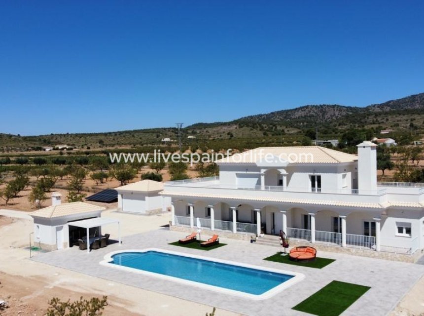 Nouvelle construction - Villa (indépendant) -
Pinoso - Camino Del Prado