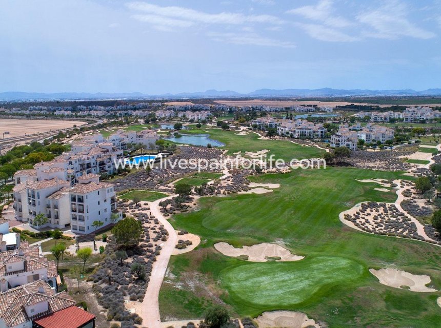 Nouvelle construction - Villa (indépendant) -
Sucina