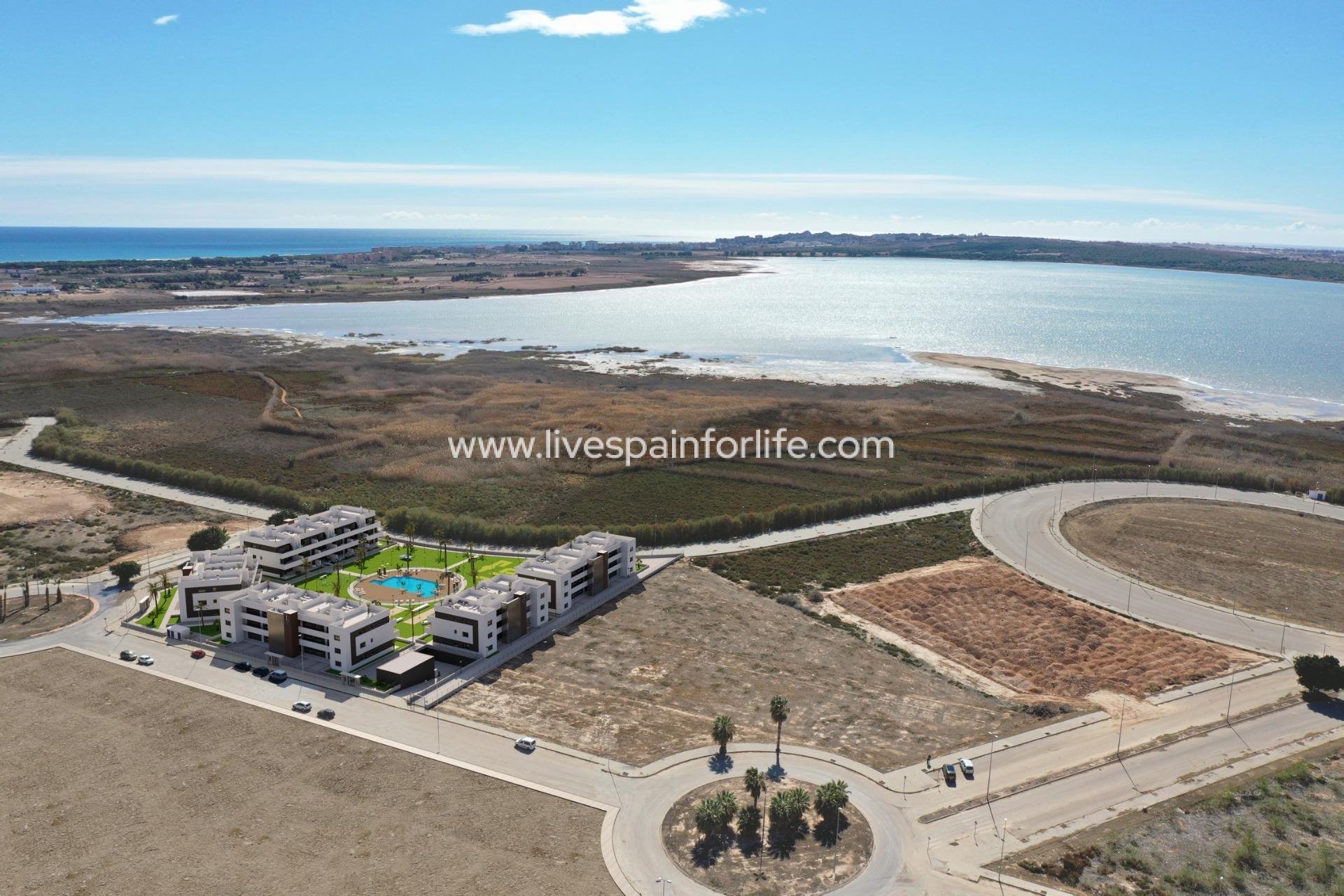 Nuevo - Apartments -
Guardamar del Segura - El Raso